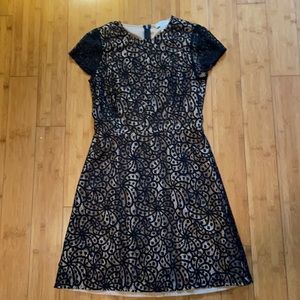Loft dress size 0